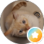 Clara P. Avatar